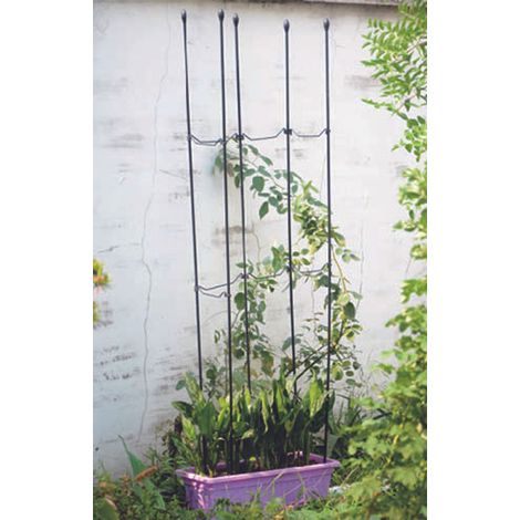 6x Rankhilfe Set 1,5m Kletterpflanzen Stab Stützen Gartenspalier Rosen Orchideen