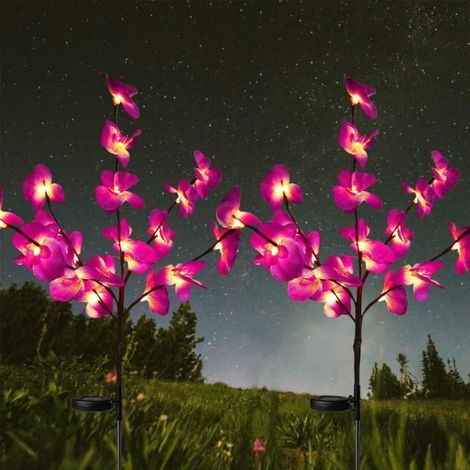 Lampe solaire LED étanche pour orchidées - Marque - Modèle - Couleur principale : Blanc, 1 unité