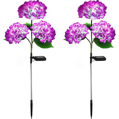Ensemble comprenant 2 lampes solaires pour allée de jardin, des lampes LED pour entrée de véhicule et des lampes pour pont AquaForge. (1/5)