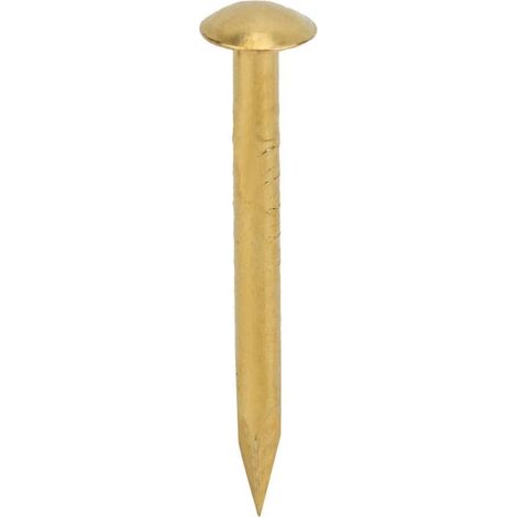 de 100 clous ronds en laiton pour la fixation et l (1/5)