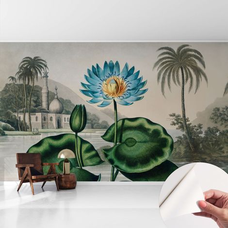 Carta da parati autoadesiva - Fotomurale adesivo - design elegante - stile moderno - Paesaggio esotico 416x254 cm (1/5)