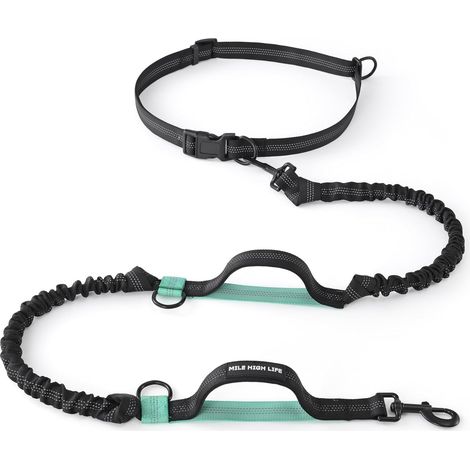 1 Laisse de Course pour Chien, Ajustable, Réfléchissante, Double Poignée, Élastique Durable, Petit Moyen Grand Chien (1/5)
