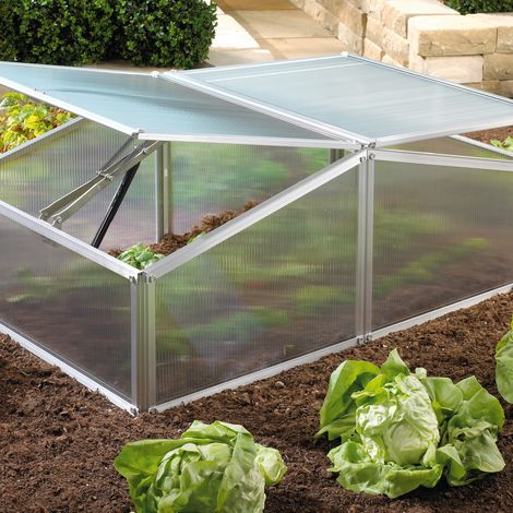 Vitavia Frühbeet "Gaia XS", aluminium blank, 0,6 m², 4 mm HKP (1/5)