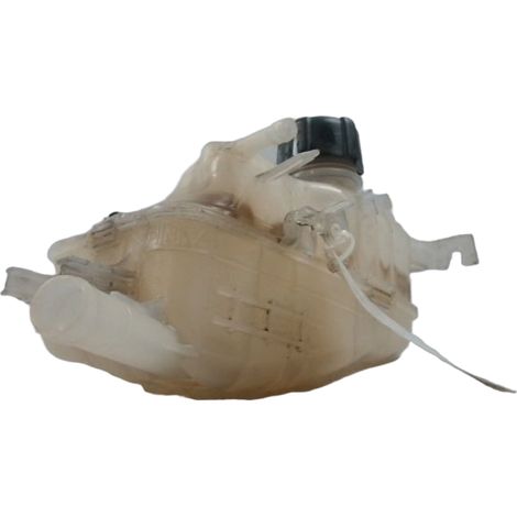 Vase Expansion RENAULT Megane III Estate 09- [PRODUIT D'OCCASION]♻️217100005r