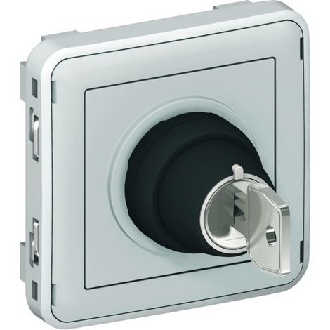Legrand 069534 Key switch -3A - 250 V Ronis No. 455 Gray modular Plexo - 2 positions