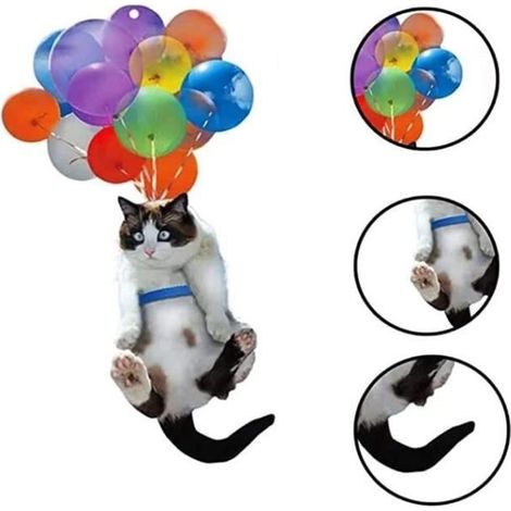 Anhänger – Katze – Hängender Ballon – Glimmeracryl – Dekorativ – Autozubehör (1/4)
