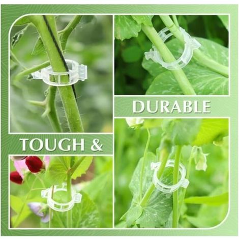 150 Stück Pflanzenstützbänder, Gartenclips für Tomaten, Pflanzenstützen/Verbinder, Bindfaden, Rankgitter (1/3)