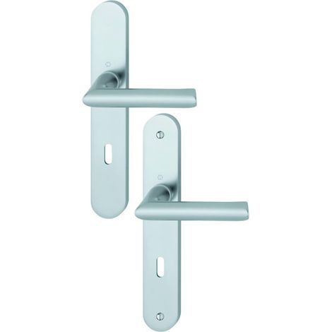 Ensemble sur grande plaque CONFLUENCE argent F1 clé L - HOPPE