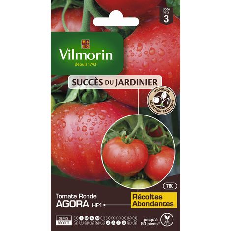 Vilmorin – Sachet graines tomate hybride F1 Agora – Période de semis : février à avril – Exposition plein soleil – Résistante aux maladies