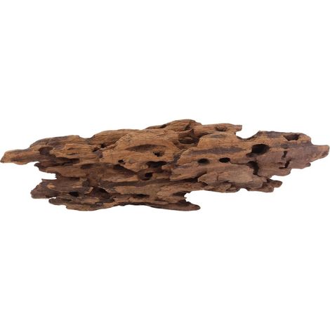 L Honey Comb Wurzel Nr.2989 Holz Deko Aquascaping