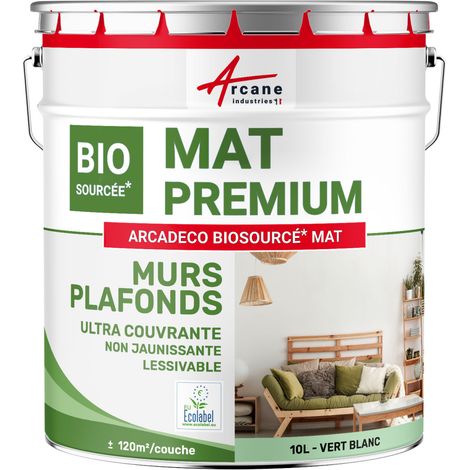 Peinture mat, mur et plafond, biosourcée - Peinture chambre, salon, pièces à vivre - 10 L (+ ou - 120m² par couche) Vert Blanc - RAL 6019 - ARCANE INDUSTRIES (1/5)