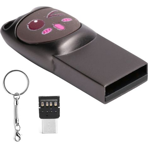 Clé USB 2.0 avec Adaptateur Type-C, Stylo Disque Mémoire en Alliage de Zinc pour Téléphone et Ordinateur (Motif Mignon Gris 16 Go)