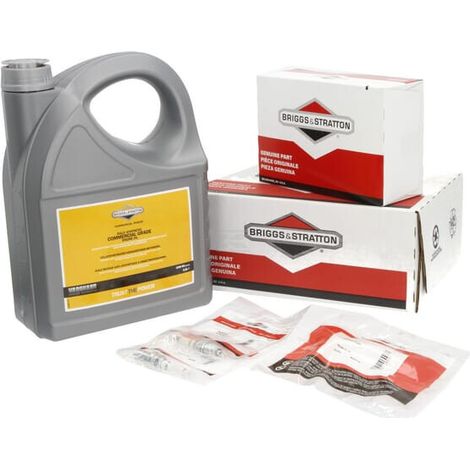 Kit d'entretien BRIGGS & STRATTON 992245 (1/5)