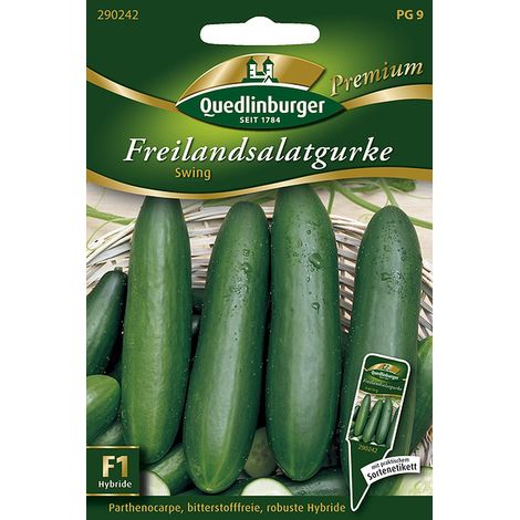Quedlinburger Saatgut – Concombre de plein air « Swing » – Graines de légumes, hybride parthénocarpique, fruits de 20 à 25 cm