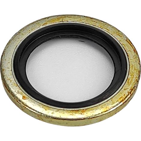Anello di tenuta da 3/4' (1/3)