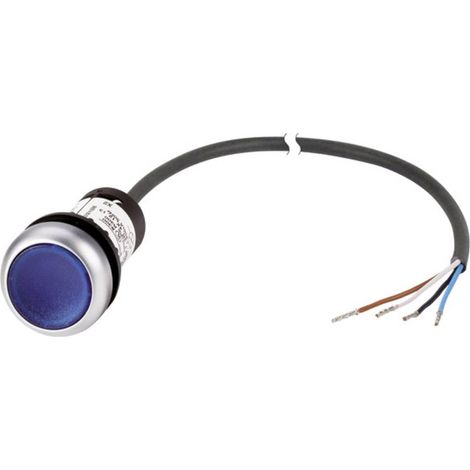 Bouton-poussoir plat Eaton C22-DL-B-K10-24-P62 185585 bleu 1 pc(s) (1/4)