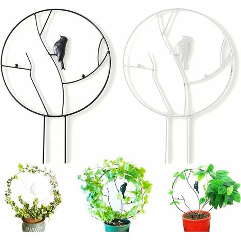 Lot de 2 tuteurs de jardin pour plantes grimpantes, support en fer noir de 30 cm pour plantes grimpantes (1/5)