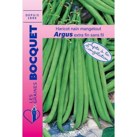 Haricot nain mangetout Argus - 60g