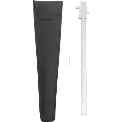 Jeffergarden Pied à coulisse en acier inoxydable, règle à tracer parallèle avec tête en carbure, outil de traçage multifonctionnel 0-300 mm-DOU
