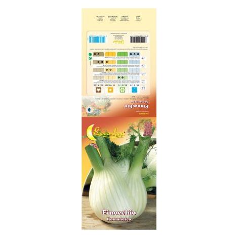 SEMI ORTO FINOCCHIO ROMANESCO 10 PZ