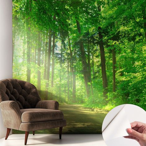 Papier peint adhésif décoratif pour salon chambre et cuisine Facile à poser avec colle Sentier forestier 250x250 cm (1/5)
