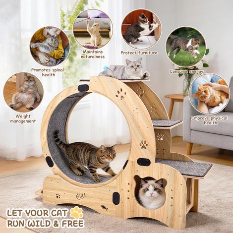 Roue d’exercice pour chat 6 en 1 – 91,5x53x19,5 cm – bois – teinte bois naturel (1/5)