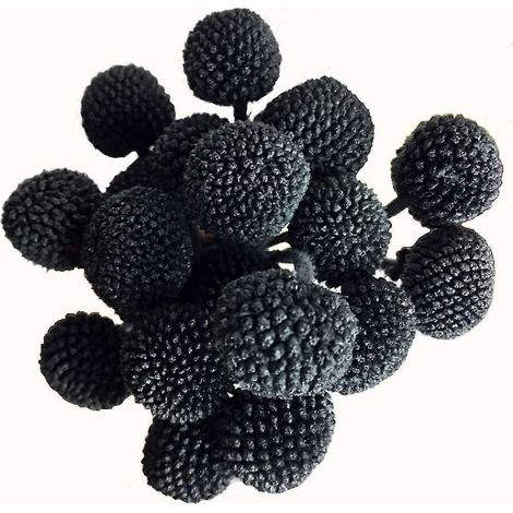 Craspedia Globosa en tissu (noir, 20 pièces) 50 cm