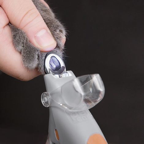 Cocosity Coupe-ongles lumineux pour chat lumière LED 5X grossissement ciseaux (1/5)