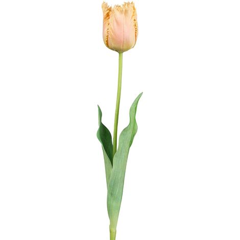 GASPER Tulpe, apricot, 67 cm - Kunstblume