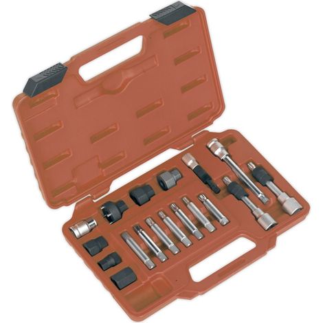 Sealey Alternator Freewheel Pulley Removal Set 18pc SX402