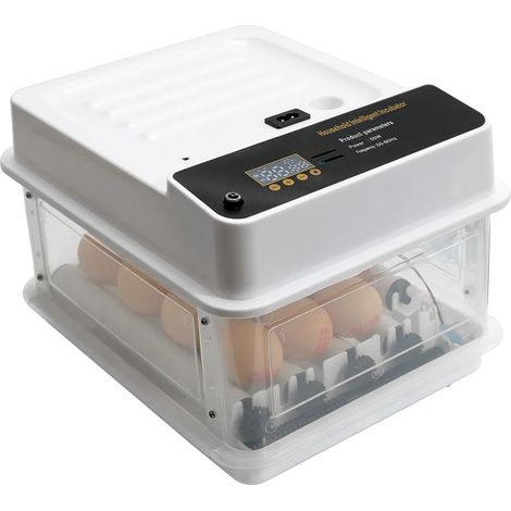 Incubatrice per uova, controllo automatico della temperatura, doppia alimentazione, 10 uova (1/2)