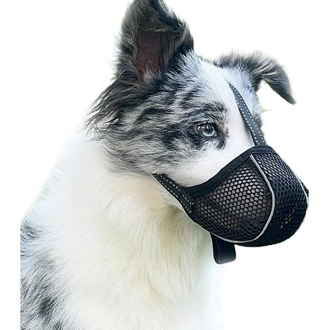 Muselière pour chien empêchant les morsures et les morsures - Housse de muselière respirante, réfléchissante et réglable - Anti-morsure (Noir-L) (1/5)