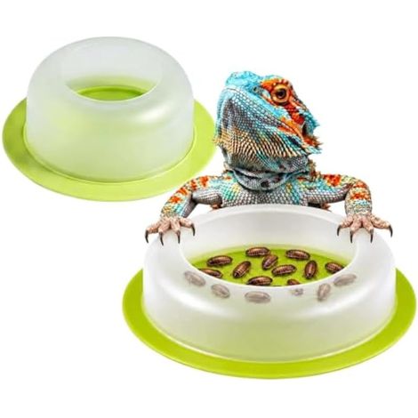 Lot de 2 mangeoires translucides légères anti-échappement pour reptiles (1/5)