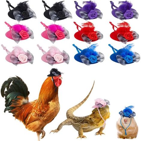 12-teiliges Set, 6 Farben, Haustier-Hühnerhüte mit Federhaube, verstellbarer Kinnriemen, Polyester, lustige Dekorationen, Hüte für Kleintiere wie Papageien, Geflügel und andere Tiere