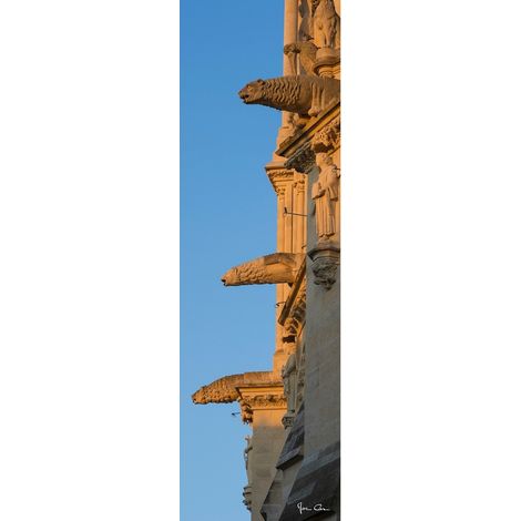 Tableau sur toile gargouille vue de côté 30x97 cm - Impression sur Toile Murale Décorative - Image imprimée en HD sur Toile - Toile sur Châssis en Bois FSC - Fabriqué en France (1/4)