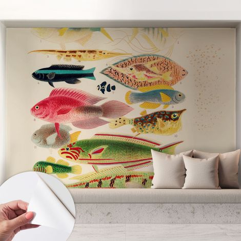 Papier peint autocollant adhésif avec motifs pour salon et chambre accessoire stylé pour votre intérieur Poissons colorés 208x146 cm (1/5)