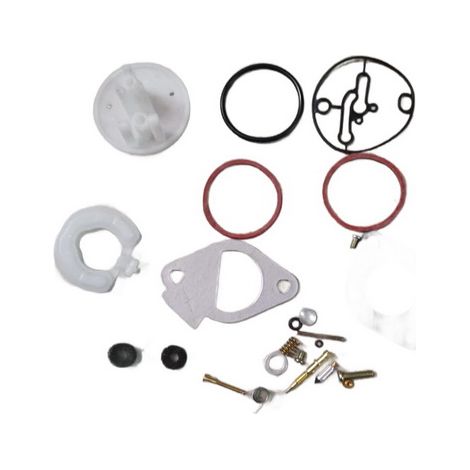Kit Membranas compatible con Bs  Ref 504739