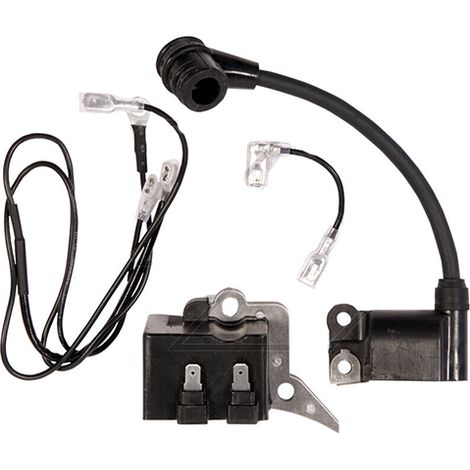 Accensione Elettronica motosega Zenoah G6200 compatibile