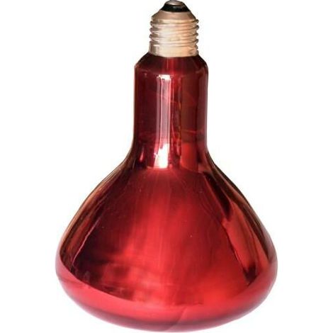 Lampe infrarouge pour fournir de la chaleur à la litière, puissance 250 W