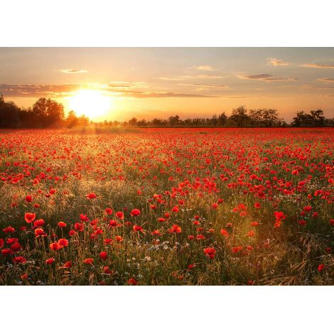 Tableau printemps paysage idéal pour chambre | Tableau salle de bain champ de coquelicots | Tableau sur toile salon à fleurs rouge - 0,7 x 0,5 m (1/2)