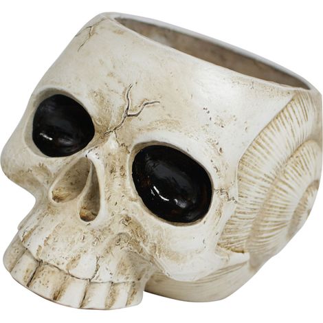 Pot de Fleurs à Crâne Résine - Pot Gothique pour Succulentes - Décoration Halloween et Bureau - Résine Synthétique - Dimensions 13.5x11x9.2cm - 1 Pièce (1/5)
