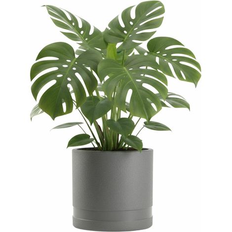 LUNA ZYLINDER Blumentopf anthrazit 30,8 cm