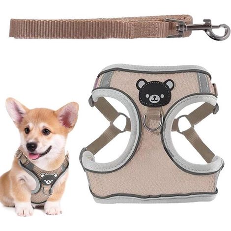 Harnais lumineux pour chien, gilet pour animaux, promenades nocturnes, haute visibilité, taille M, kaki (1/5)