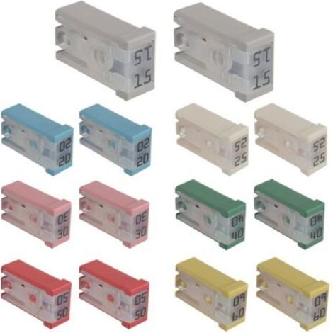 MCASE 14-teiliger Mini-Schlitzsicherungssatz für Kfz-Anwendungen: 15 A, 20 A, 25 A, 30 A, 40 A, 50 A, 60 A, 32 V
