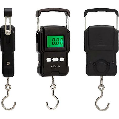Balance électronique numérique de pêche avec hameçon de suspension postal, outil de mesure de 75 kg (1/4)