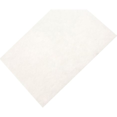 Filtre moteur (432200493931) Aspirateur PHILIPS
