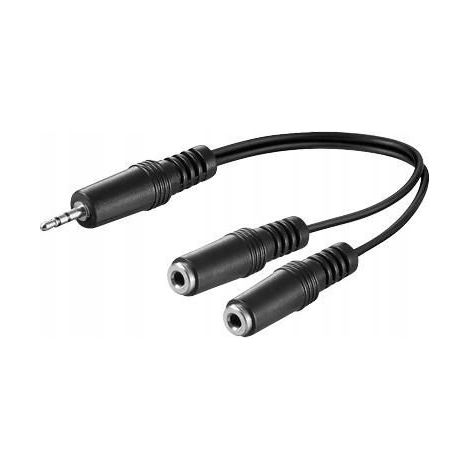 Cavo audio MicroConnect 2 x 3,5 mm 0,2 m