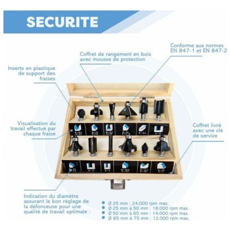 Jeu de 12 fraises en carbure de haute qualité - Queue de 6 mm - Fraises à rainurer pour bois massif et MDF - Outils professionnels pour le travail du bois (1/4)