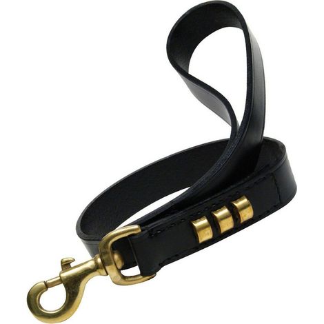 Guinzaglio per Cani Gloria Duna 2,5 x 60 cm Nero