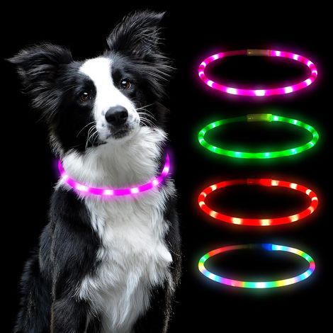 Lot4 Collier Lumineux LED pour Animaux Rechargeable USB,Découpable,Imperméable,Réglable pour Petits,Moyens et Grands Chats et Chiens (1/5)